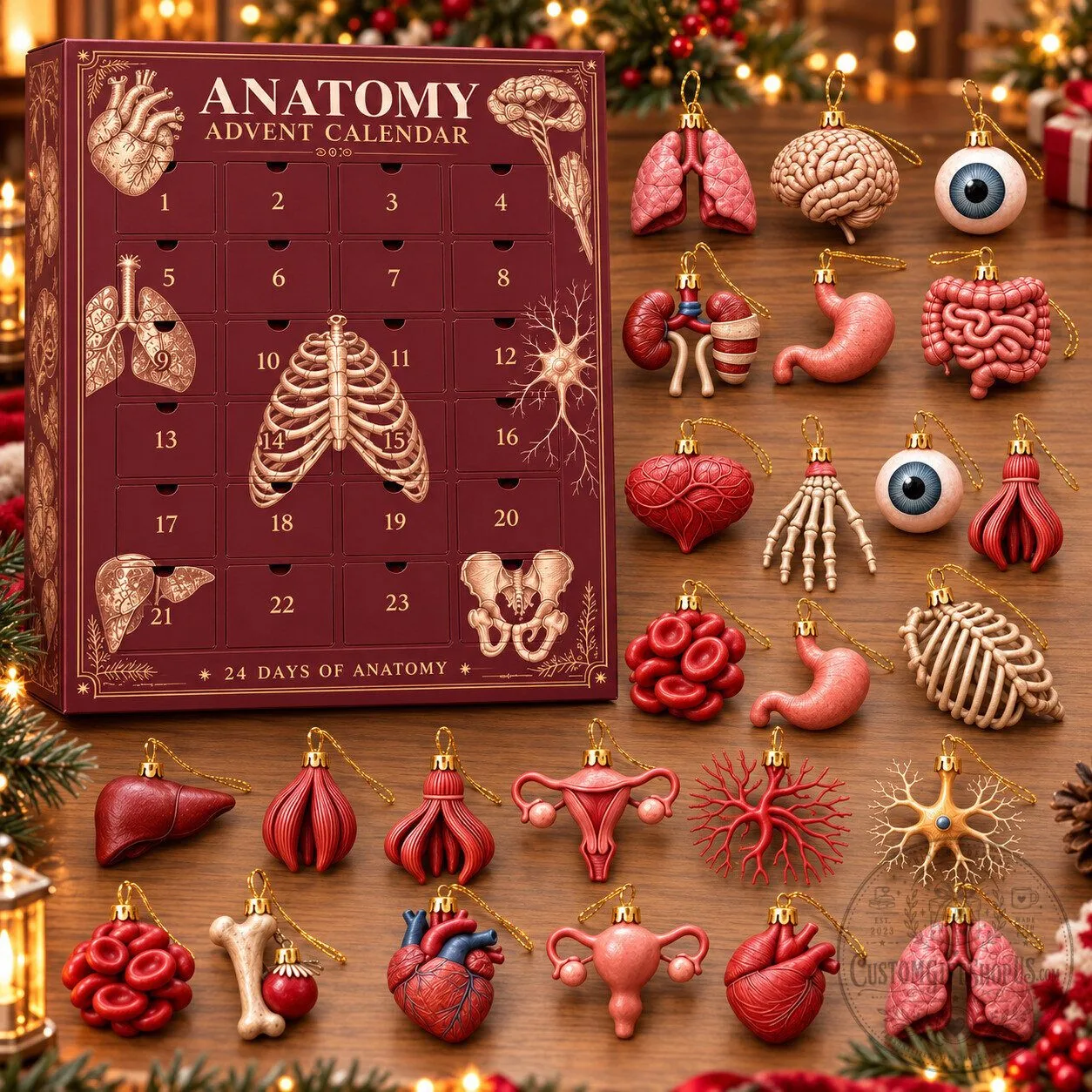 Human Anatomy Advent Calendar 2026 – 24 Days of Organ Ornaments | Christmas Gift for Medical Students